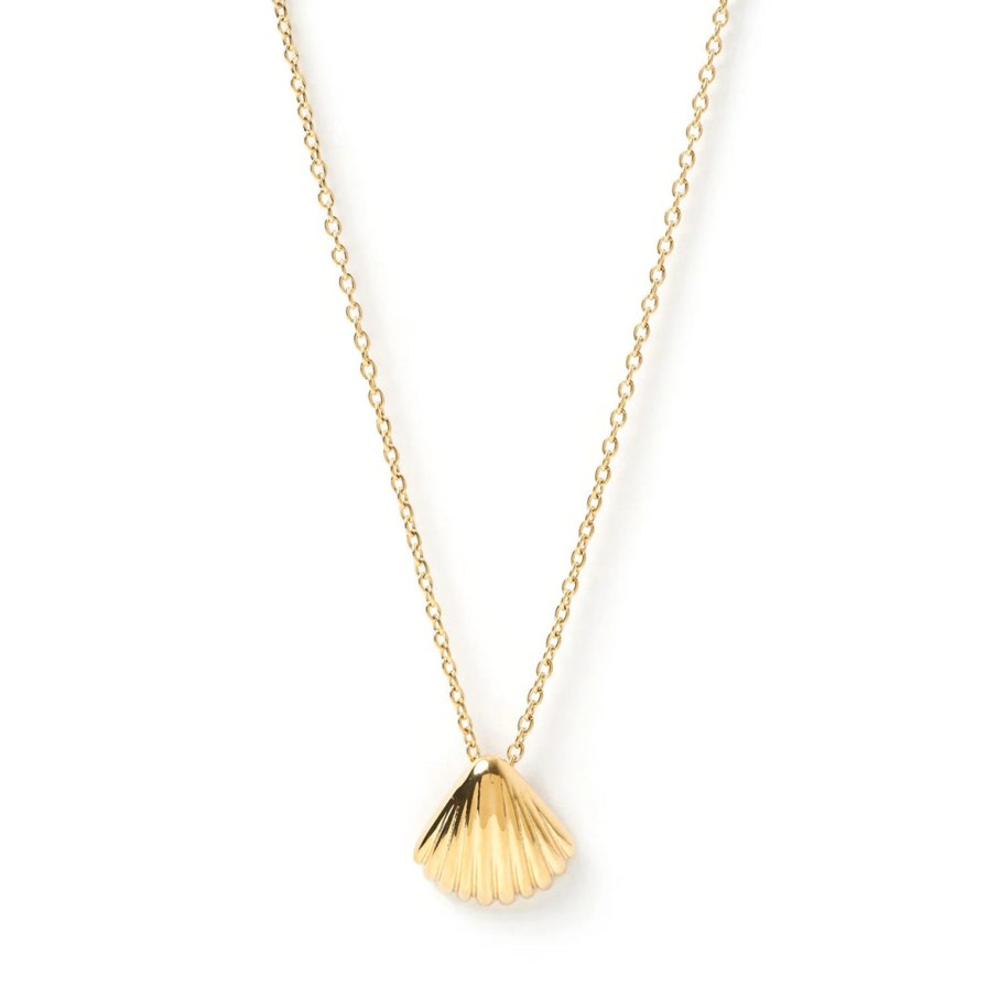 Hot Arms of Eve Perla Gold Shell Necklace