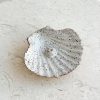 New Coastal Clay Shell Incense Holder - Sandstorm